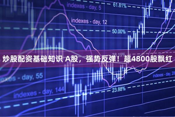 炒股配资基础知识 A股，强势反弹！超4800股飘红