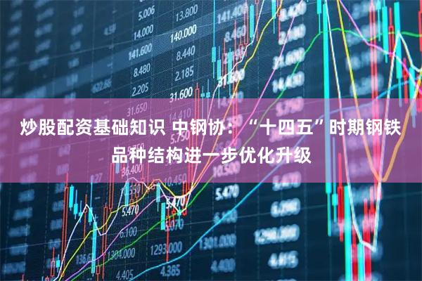 炒股配资基础知识 中钢协：“十四五”时期钢铁品种结构进一步优化升级