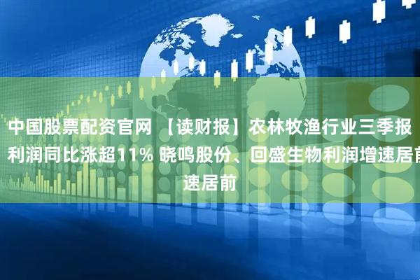 中国股票配资官网 【读财报】农林牧渔行业三季报：利润同比涨超11% 晓鸣股份、回盛生物利润增速居前