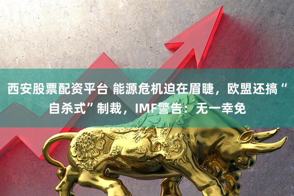 西安股票配资平台 能源危机迫在眉睫，欧盟还搞“自杀式”制裁，IMF警告：无一幸免